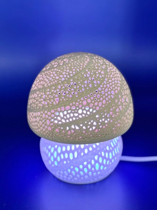 Magisk Svamplampa med LED - 16 Färger & Fjärrkontroll - Perfekt Nattlampa för Mysiga Stunder 3dprintguru.se